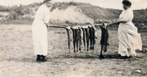 Two women holding a long branch between them from which hang several salmon.