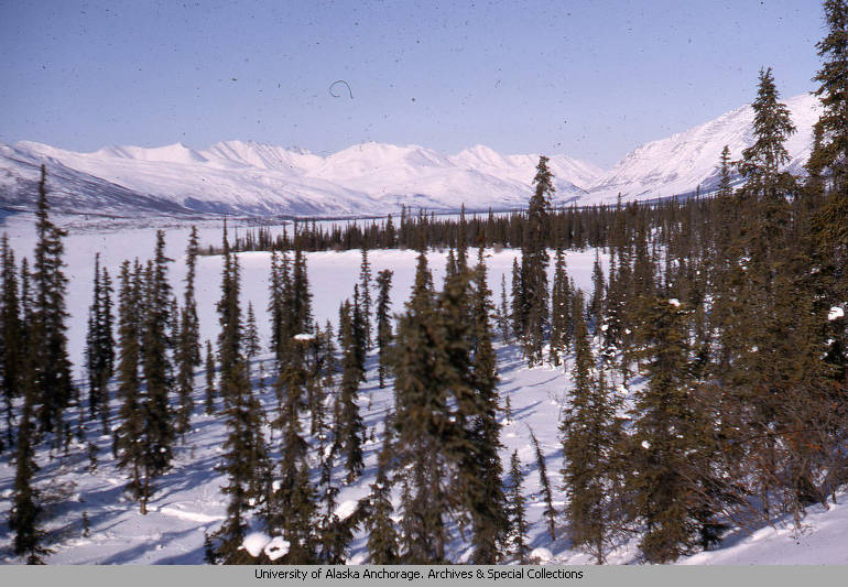 Image of a snowy mountain range with trees in the foreground.